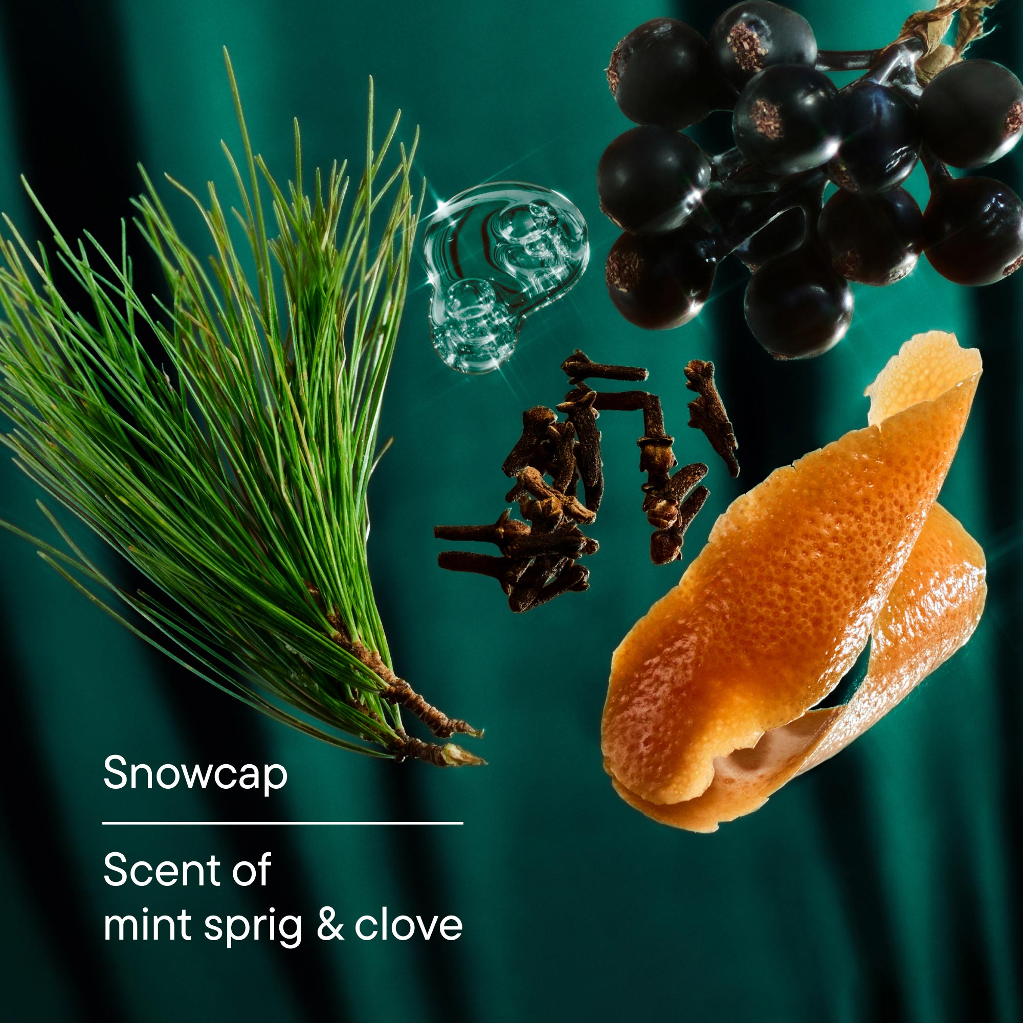 Limited Edition Snowcap Body Wash